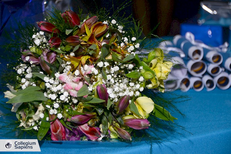 Formatura 5º ano Fundamental